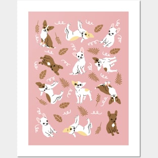 Chihuahua Puppies Posters and Art